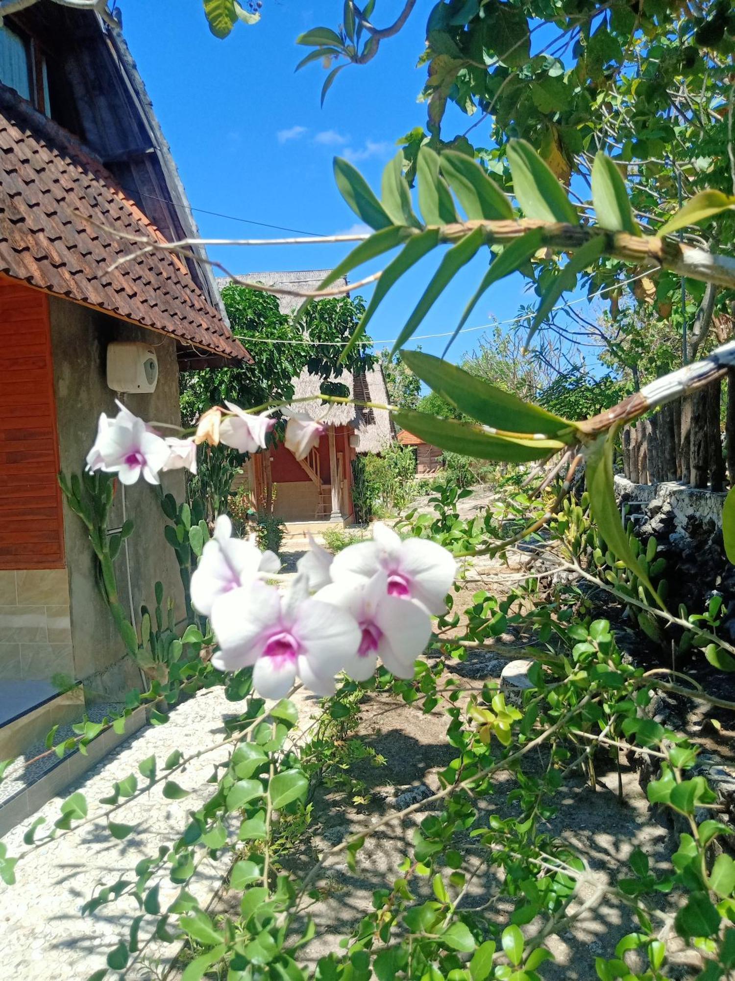 The Somayan Bungalows Batununggul Esterno foto